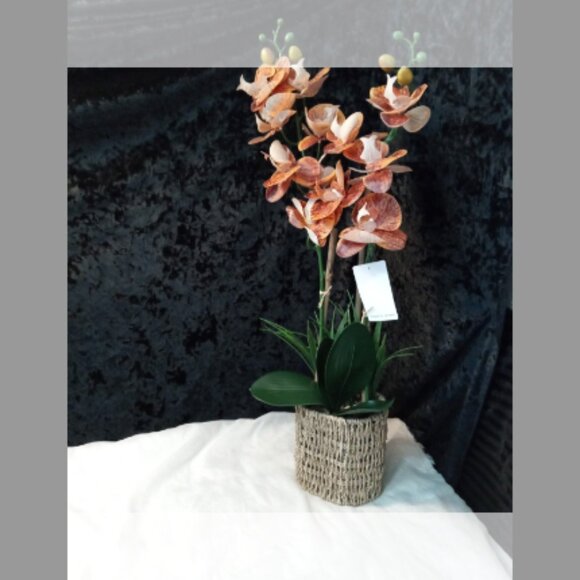 COPY - Artificial Orange Mokara Orchid - Picture 6 of 9